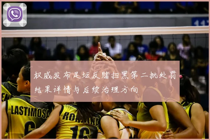 权威发布足坛反赌扫黑第二批处罚结果详情与后续治理方向