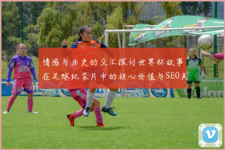 情感与历史的交汇探讨世界杯故事在足球纪录片中的核心价值与SEO关键词策略
