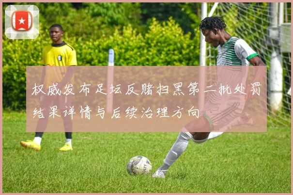 权威发布足坛反赌扫黑第二批处罚结果详情与后续治理方向