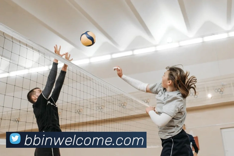 App Interface Preview